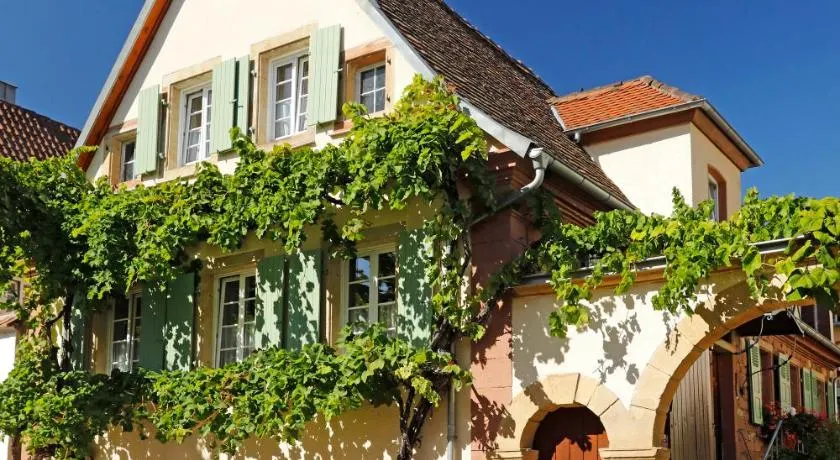 Gästehaus Zum Weinbauer - Image 1