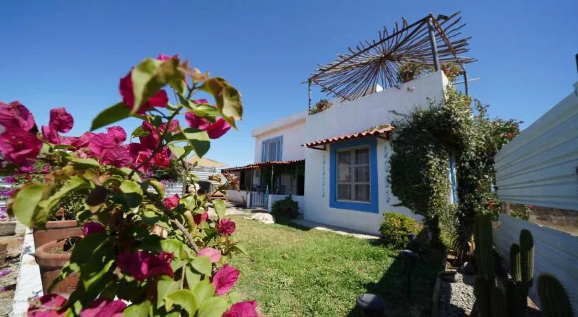 Santerra, Valle de Guadalupe - Image 1