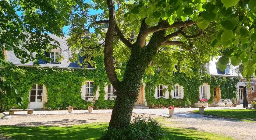 La Tilia - Image 1