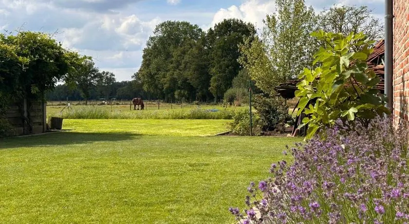 B&B Droomzoet - Image 1