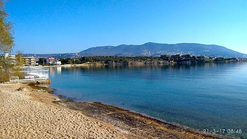 George Apartments by the Sea and Airport - Image 1
