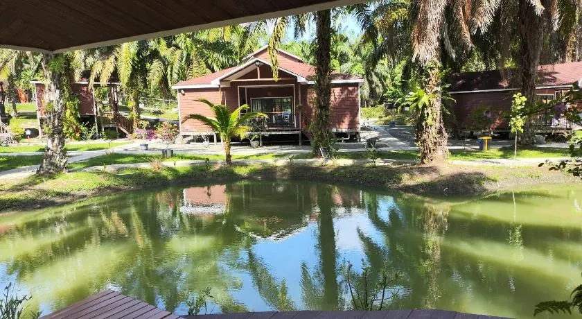 仙本那棕榈湖度假村Palm Lake Resort - Image 1