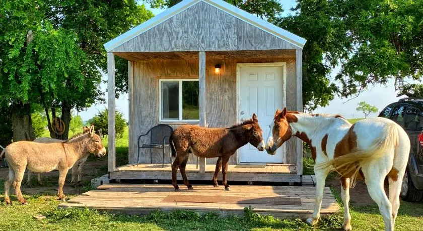 Kleine Hütte auf der DonkeyRanch - Image 1