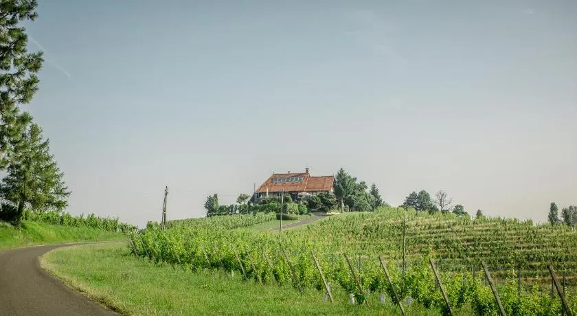 Taverna & Wine Jeruzalem - Image 1