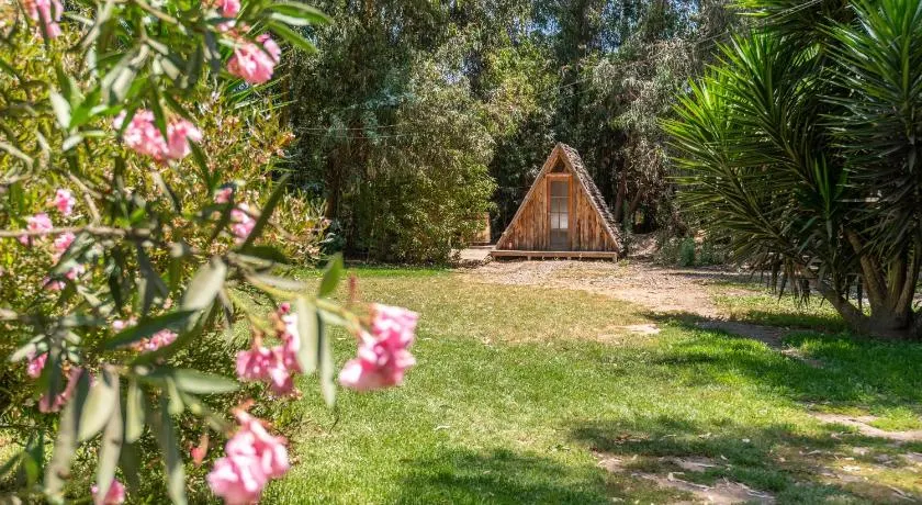Bosques del Paico Santiago - Image 1