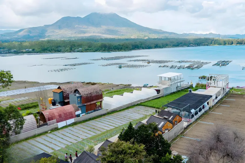 Yucabin Kintamani - for Cool Adults Only Deals - Image 1
