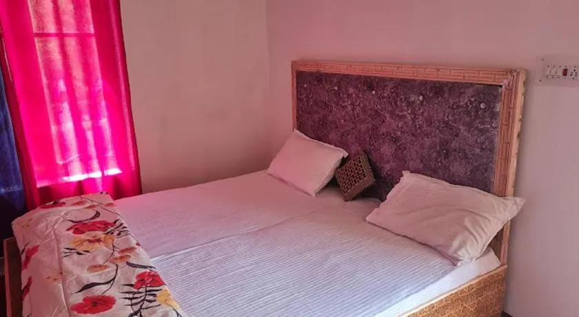 Wachan Guest House Hunder, Nubra Valley - Image 1