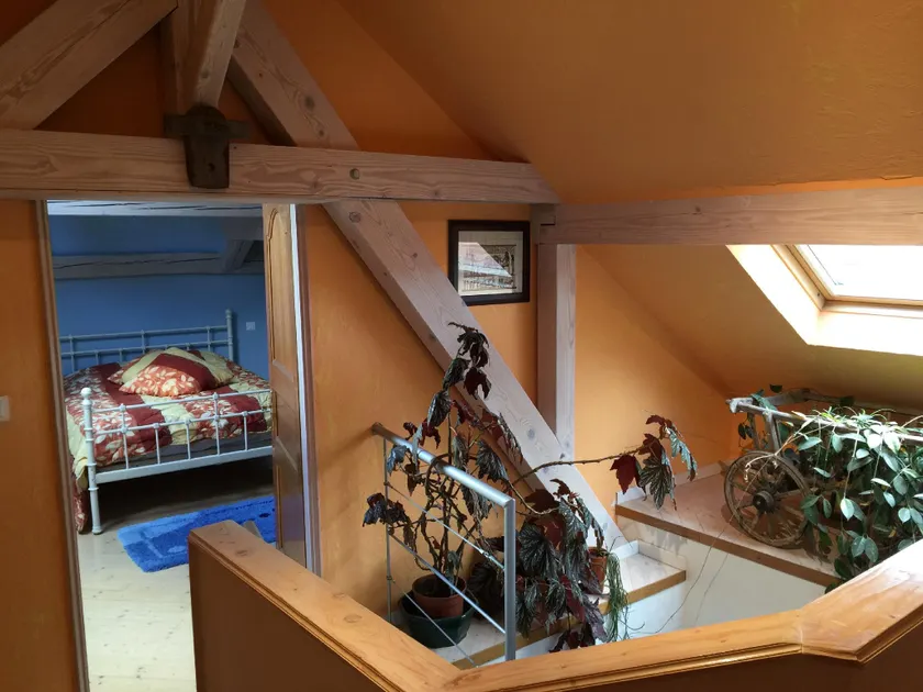 Le Provençal - afslappende sommerhus - Tæt på vinruten - Image 1