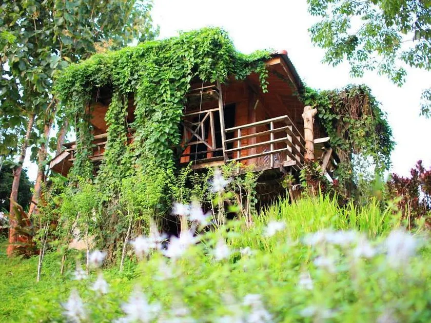 Gobo House - Image 1