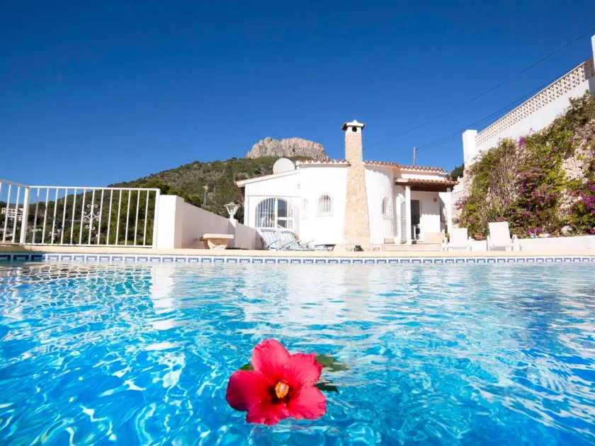 Bougainvillea - Image 1