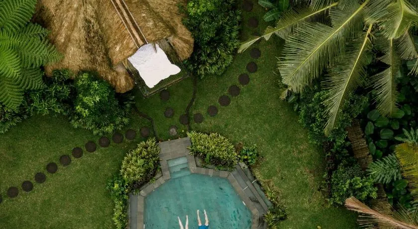 Kumbuh Jungle - Image 1