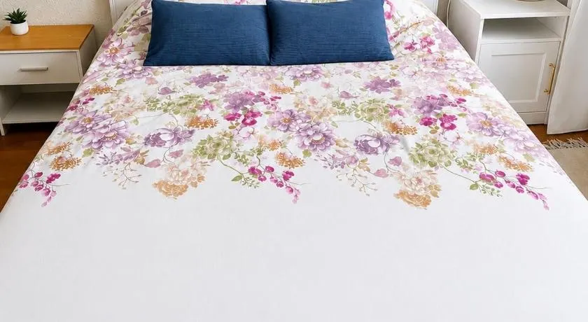Fribourg Home - Image 1