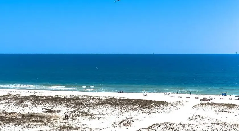 Plantation Dunes #5101 - Image 1