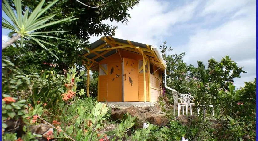 Tikaz Toukité - Image 1