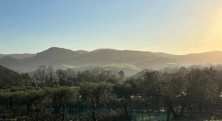 Agriturismo Podere Cortilla - Image 1