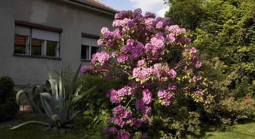 Zimmer Branka - Image 1
