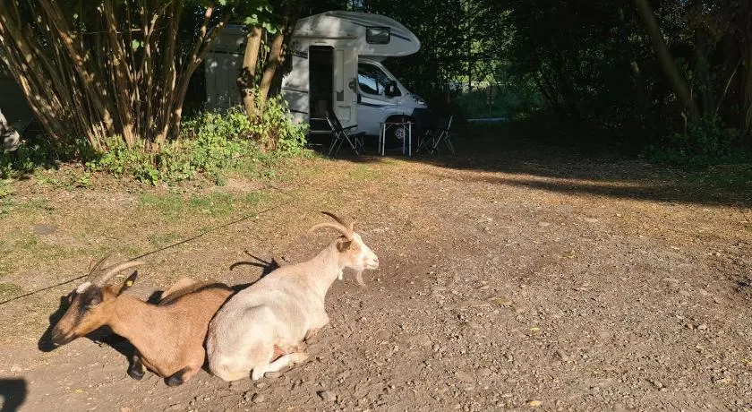 Camping - Bring your tent or van and experience our club! - Image 1