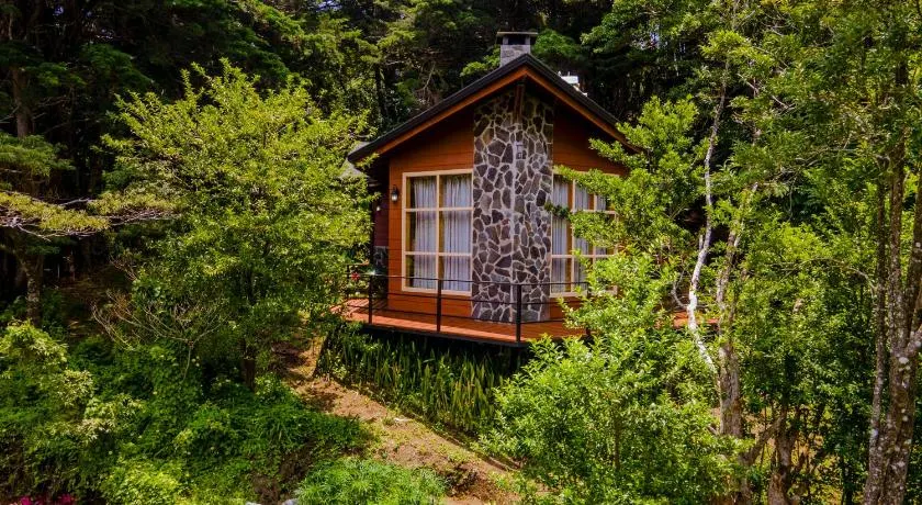 Los Pinos Cabins & Reserve - Image 1