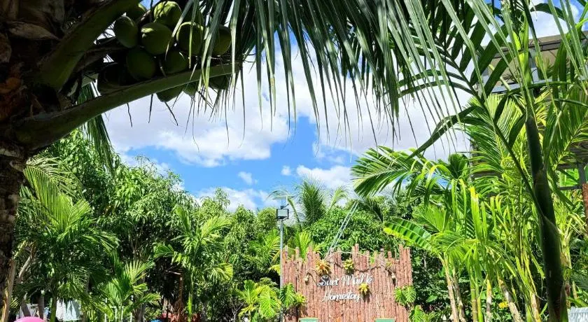 Suri Homestay Mũi Né - Image 1