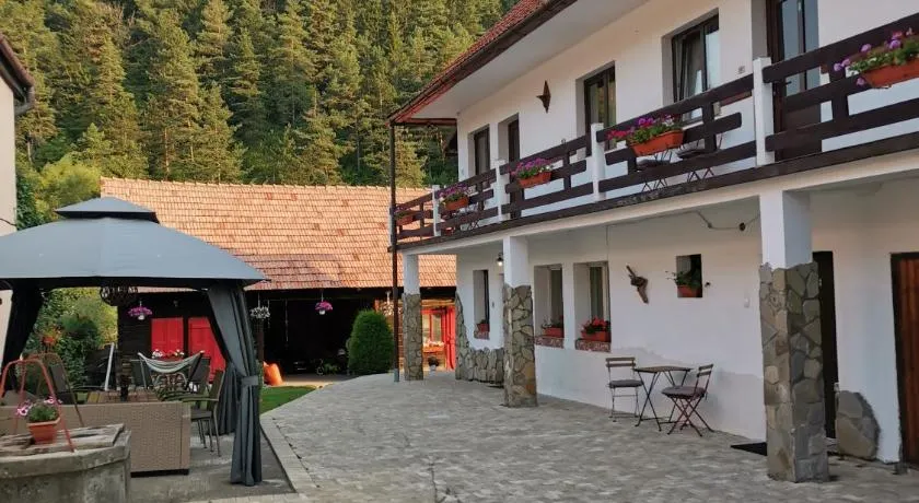 Guest House Piatra Craiului - Image 1