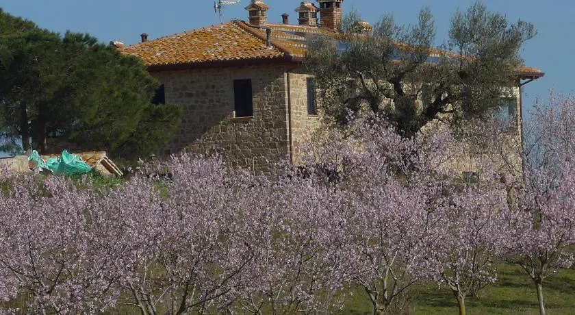 Agriturismo Il Sassolino - Image 1