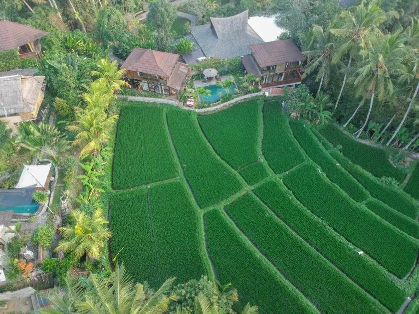 Gusde House Villas - Image 1