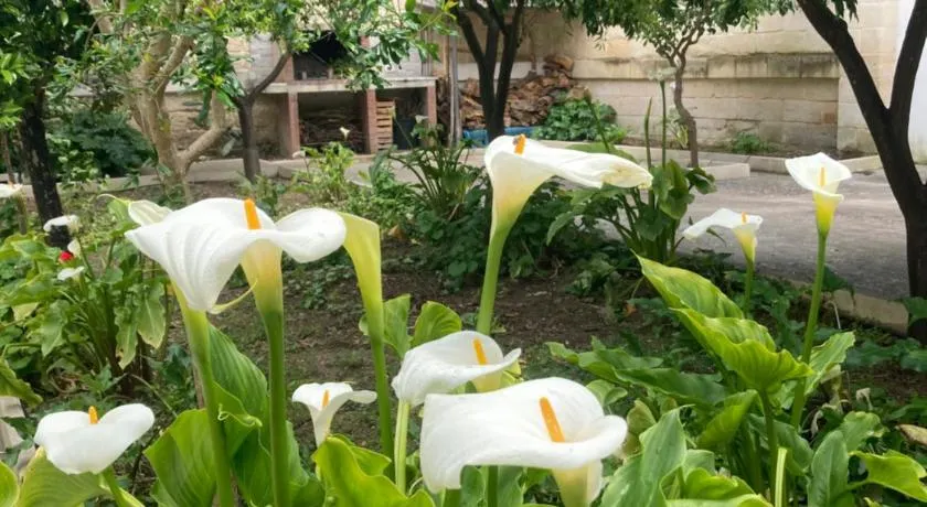Federico's Vila - Image 1