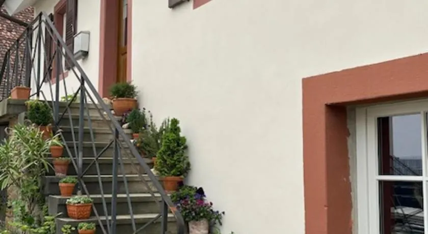 Kulturvogtei Freiburg-Tiengen - Image 1
