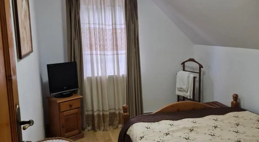 Pensiunea Cabana Viselor ,Apuseni - Image 1