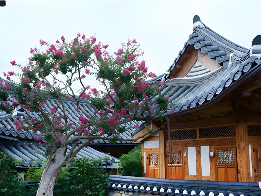 Dajeong stay - Image 1