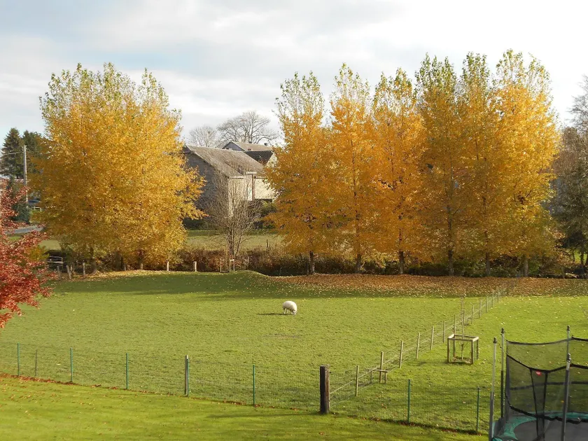 Spacious holiday home near Bastogne - Image 1