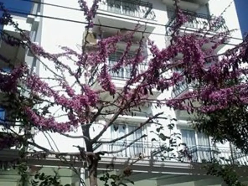 Melaike Hotel - Image 1
