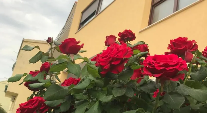 Apartman MIG - Image 1