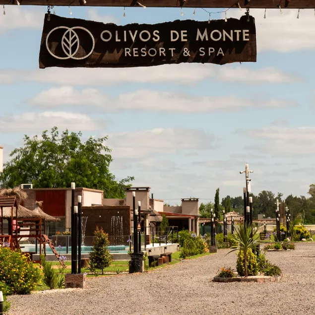 Olivos de Monte - Image 1