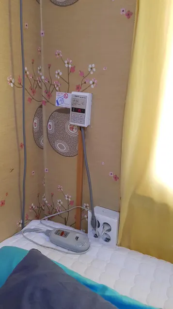 Guesthouse Spring Flower - Image 1