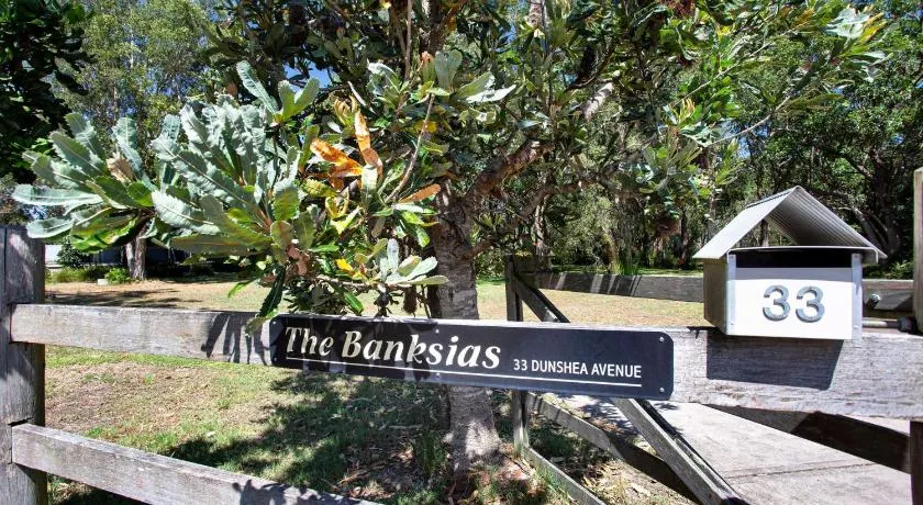 The Banksia's - Image 1