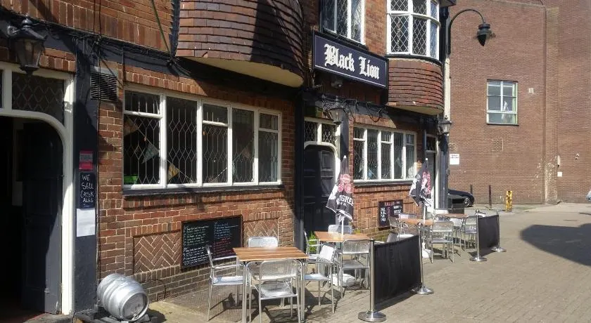 Black Lion - Image 1