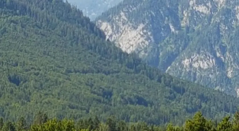 Dachsteinblick - Image 1