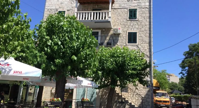 Morus Alba - Image 1