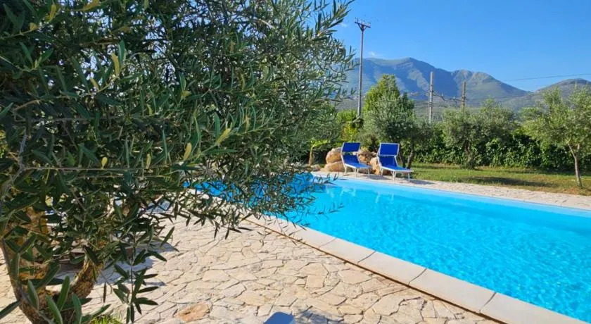Quattro Olive - Image 1