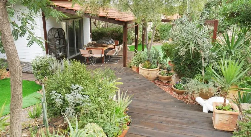 Olives - Image 1