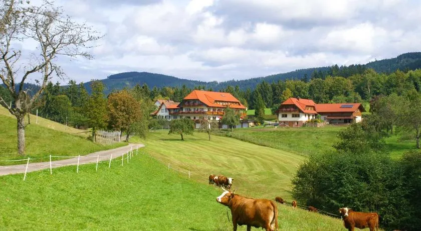 Hotel zum Breitenberg - Image 1