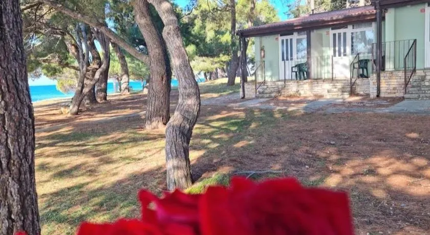 Family Bungalow Pineta - Image 1