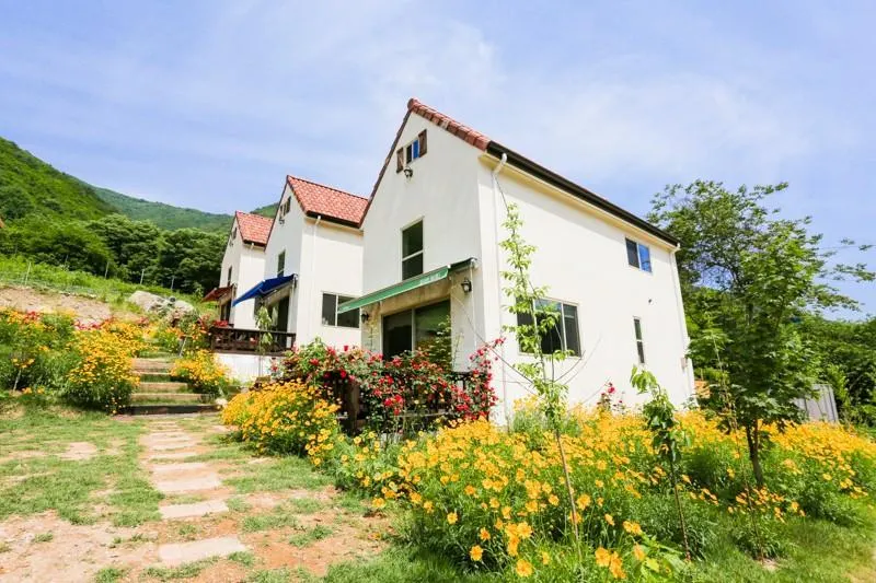 Ulsan (Baenaegol) Gulliver Pension - Image 1