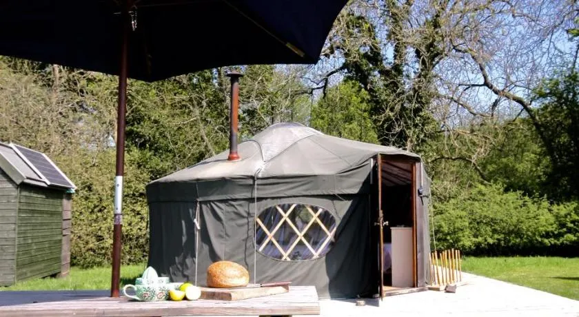 Beech Yurt - Image 1