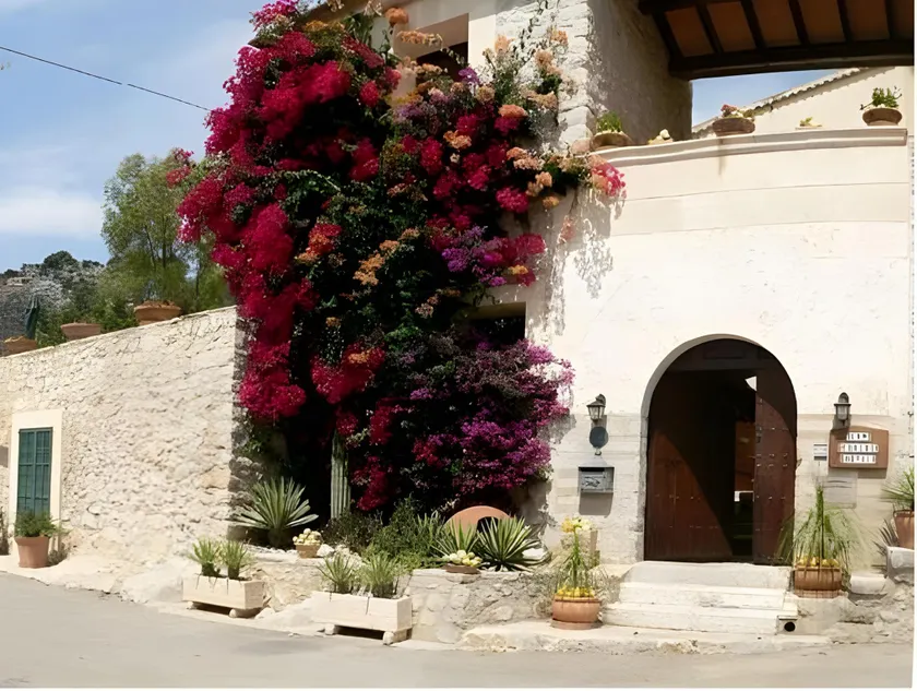 Can Furios - Image 1