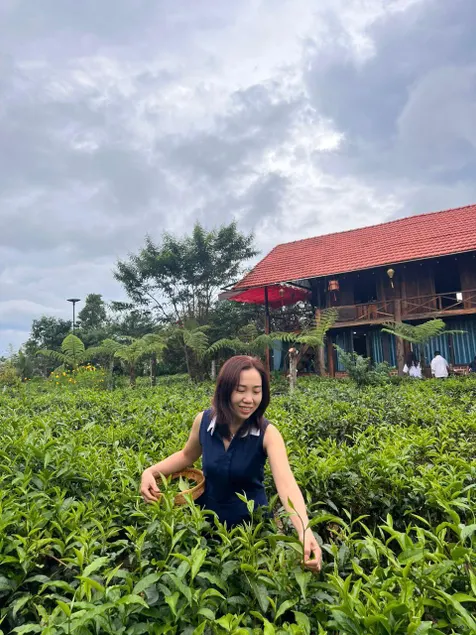 Tea Garden House - Image 1