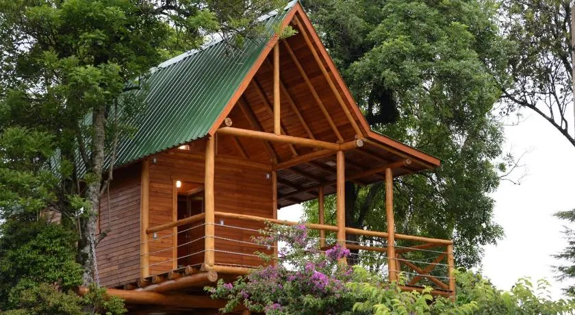 Casa na Árvore - Image 1