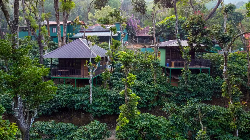 Nelliyampathy Hill Valley - Image 1