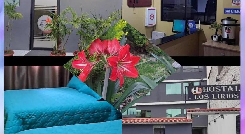 Hostal Los Lirios - Image 1